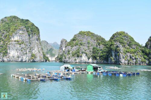 Fishing Village Catba