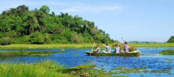 Bàu Sấu Điểm Du Lịch Lý Tưởng Tại Vườn Quốc Gia Cát Tiên