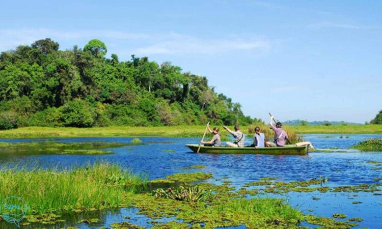 Bàu Sấu Điểm Du Lịch Lý Tưởng Tại Vườn Quốc Gia Cát Tiên