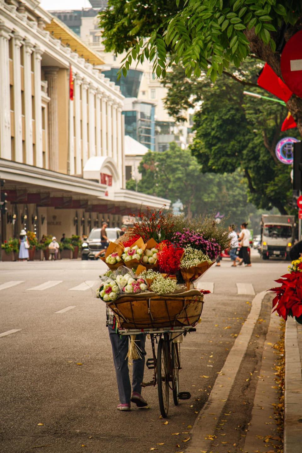 486377687 1277846590362206 419176284330203274 n