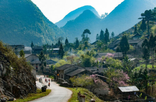 Phố cáo sủng là hg