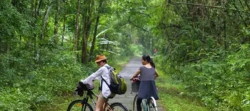 Khu du lịch nam cát tiên