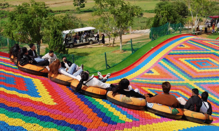 đi tour đà lạt