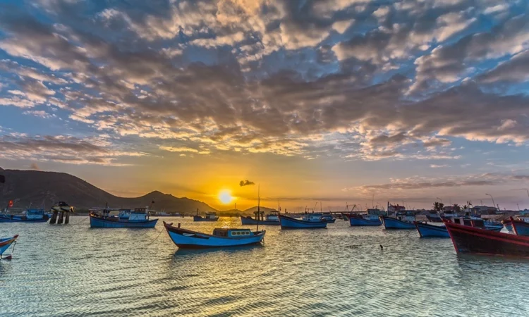 Biển ninh chử