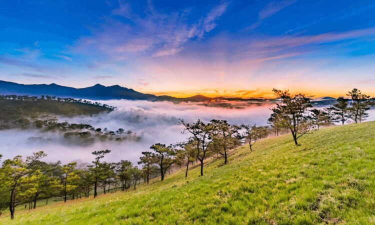 Cảnh đẹp Đl