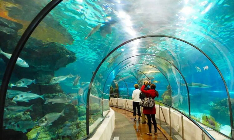 Kdl suối tiên